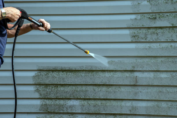 Best Fence Cleaning  in Winfield, IL